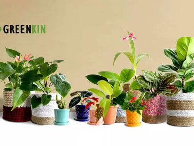 Greenkin: Elevating Home Decor with Premium-Potted Plants